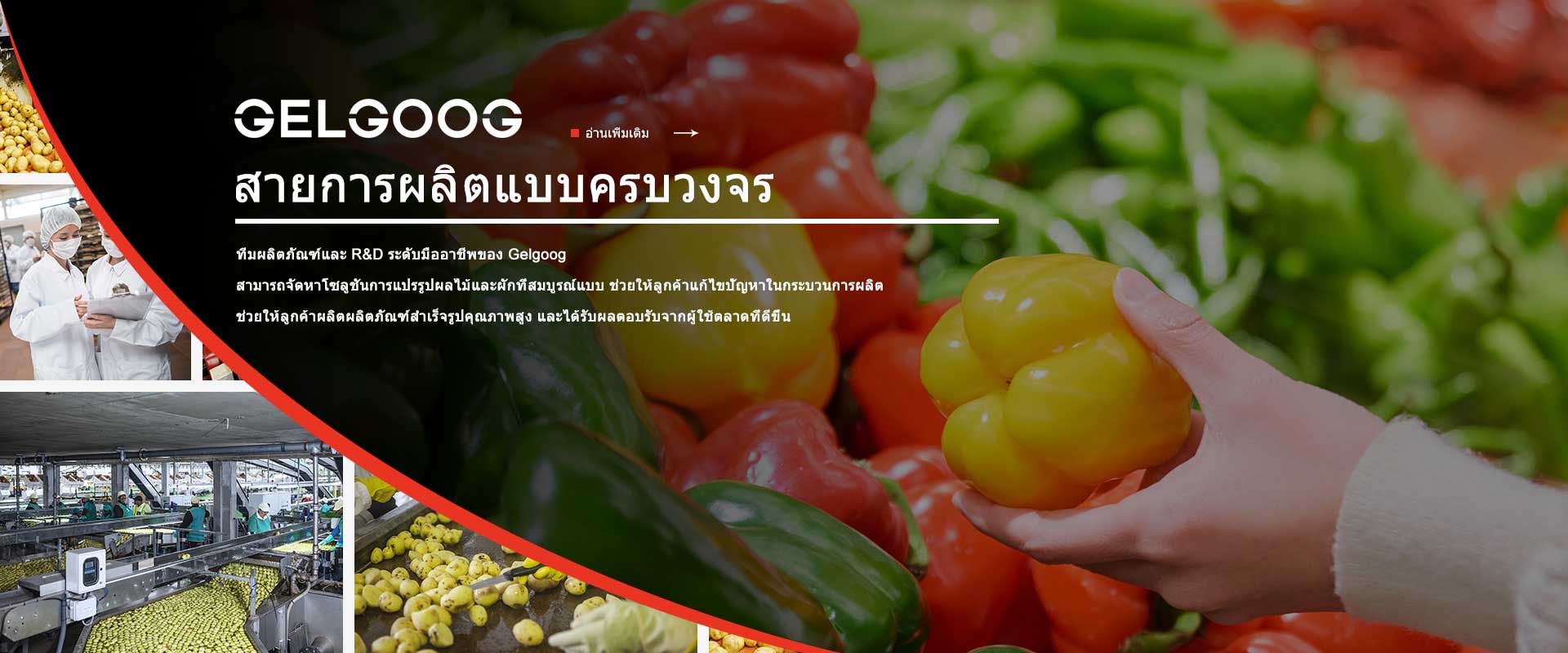 สายการผลิตแบบครบวงจรของ GELGOOG